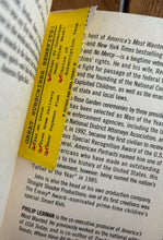 Load image into Gallery viewer, Public Enemies