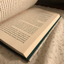 Load image into Gallery viewer, A Spy In Plain Sight