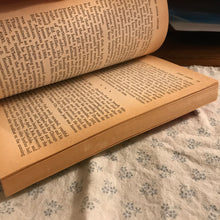 Load image into Gallery viewer, The Super Crooks