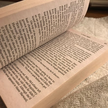 Load image into Gallery viewer, In Plain Sight