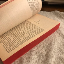 Load image into Gallery viewer, The Boston Strangler