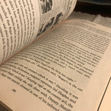 Load image into Gallery viewer, The Black Dahlia Files: The Mob, the Mogul, and the Murder That Transfixed Los Angeles