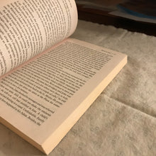 Load image into Gallery viewer, Bringing Adam Home: The Abduction That Changed America