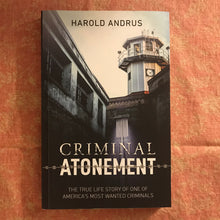 Load image into Gallery viewer, Criminal Atonement