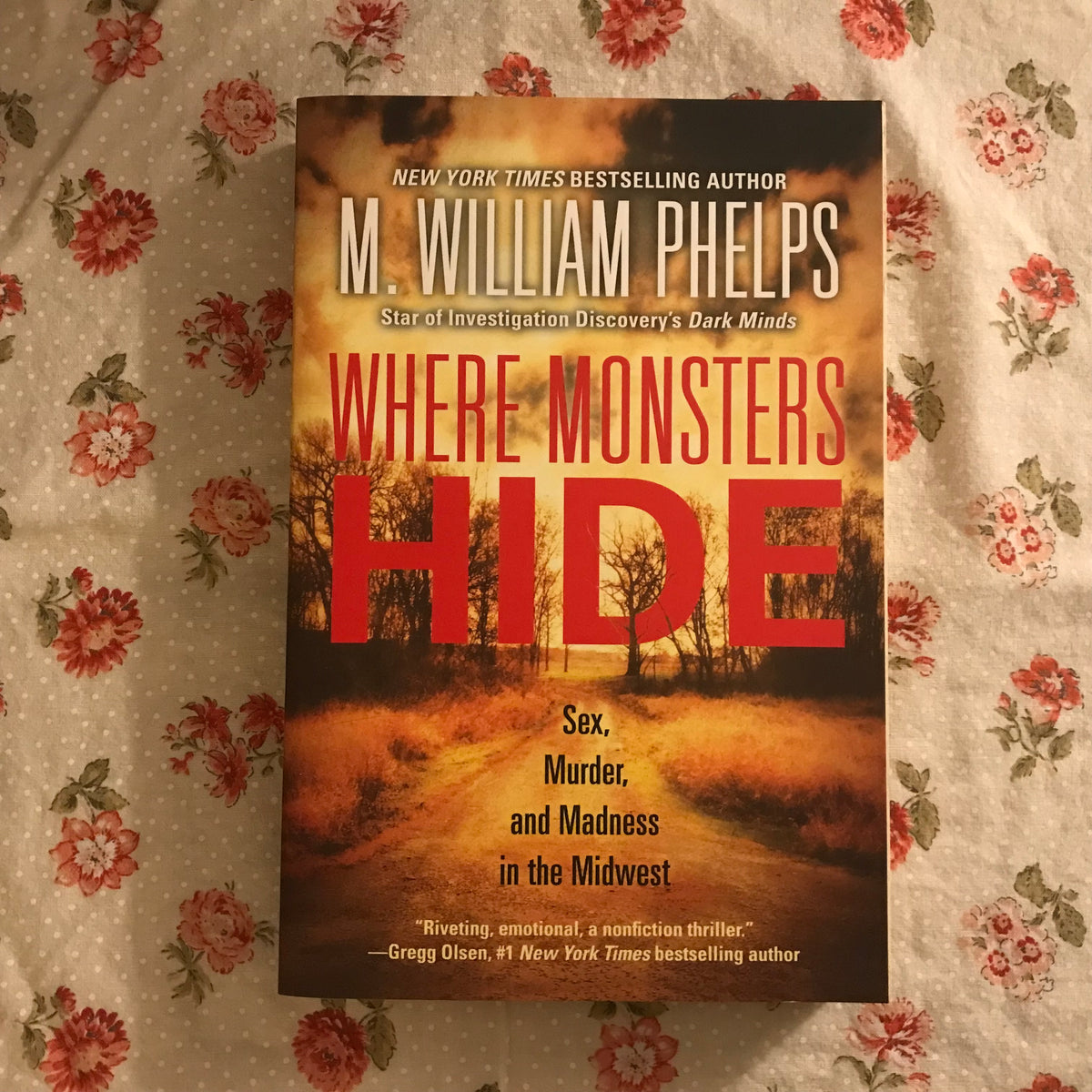 Where Monsters Hide – Exhibit B. Books