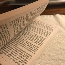 Load image into Gallery viewer, The Spy Who Stayed Out In The Cold