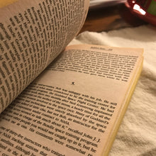 Load image into Gallery viewer, Sudden Fury