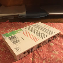 Load image into Gallery viewer, Lie After Lie