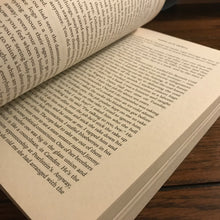 Load image into Gallery viewer, The Irishman: Frank Sheeran and Closing the Case on Jimmy Hoffa