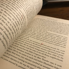 Load image into Gallery viewer, Vinny Gorgeous