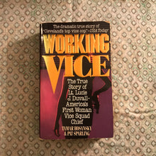 Load image into Gallery viewer, Working Vice