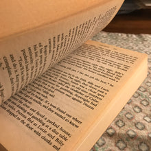 Load image into Gallery viewer, Working Vice