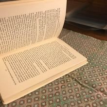 Load image into Gallery viewer, Clarence: Was he Jack the Ripper?