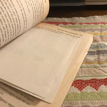 Load image into Gallery viewer, Jihad in Brooklyn