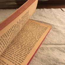 Load image into Gallery viewer, Portrait of a President