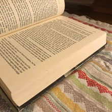 Load image into Gallery viewer, The Rosenberg File