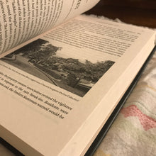 Load image into Gallery viewer, A Gentleman and a Thief