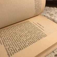 Load image into Gallery viewer, The Unknown Murderer