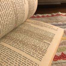 Load image into Gallery viewer, The Felon