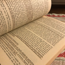 Load image into Gallery viewer, The Felon