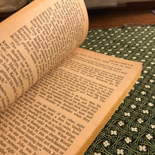 Load image into Gallery viewer, RFK, The Last Knight