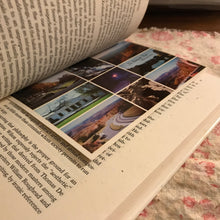 Load image into Gallery viewer, Innocence and Arsenic: Studies in Crime and Literature