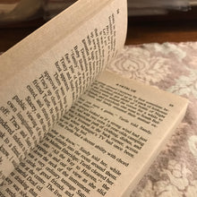 Load image into Gallery viewer, A Fatal Lie