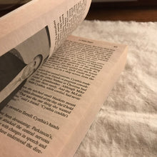 Load image into Gallery viewer, In Plain Sight