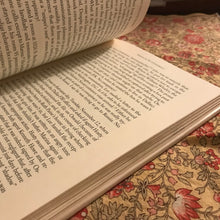 Load image into Gallery viewer, Silencing The Lone Assassin