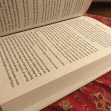 Load image into Gallery viewer, Damaged People