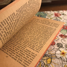 Load image into Gallery viewer, Starkweather: Portrait Of A Mass Murderer