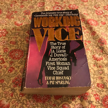 Load image into Gallery viewer, Working Vice