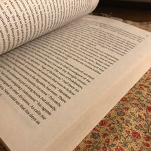 Load image into Gallery viewer, American Demon