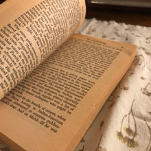 Load image into Gallery viewer, The Valachi Papers