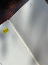 Load image into Gallery viewer, The Polk Conspiracy