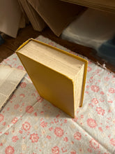 Load image into Gallery viewer, Marina and Lee