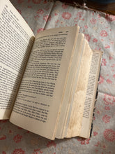 Load image into Gallery viewer, Marina and Lee