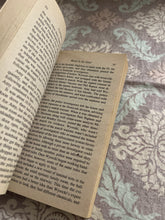 Load image into Gallery viewer, Blood in the Sand