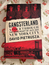 Load image into Gallery viewer, Gangsterland