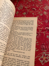 Load image into Gallery viewer, Sam The Plumber