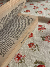 Load image into Gallery viewer, The Diary of Jack the Ripper: The Chilling Confessions of James Maybrick