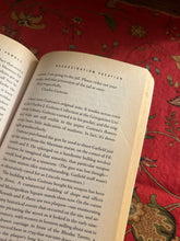 Load image into Gallery viewer, Assassination Vacation