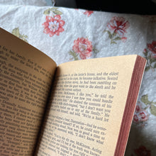 Load image into Gallery viewer, The Black Donnellys