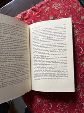 Load image into Gallery viewer, Murder at Harvard