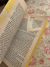 Load image into Gallery viewer, Sudden Fury