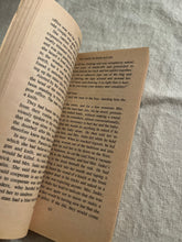 Load image into Gallery viewer, The Door-To-Door Killer