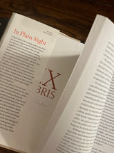 Load image into Gallery viewer, In Plain Sight