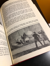 Load image into Gallery viewer, Almanac of World Crime