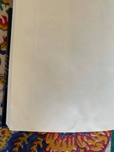 Load image into Gallery viewer, The Bandit Kings: From Jesse James to Pretty Boy Floyd