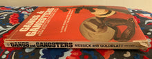 Load image into Gallery viewer, Gangs & Gangsters: The Illustrated History Of Gangs From Jesse James To Murph The Surf